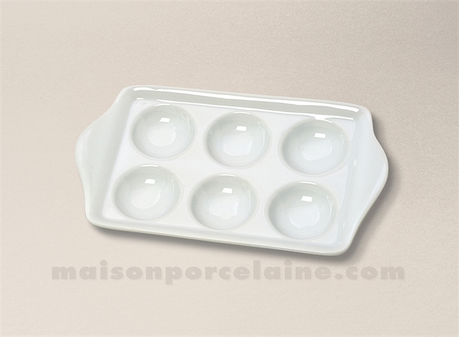 SNAIL PLATE 17X3