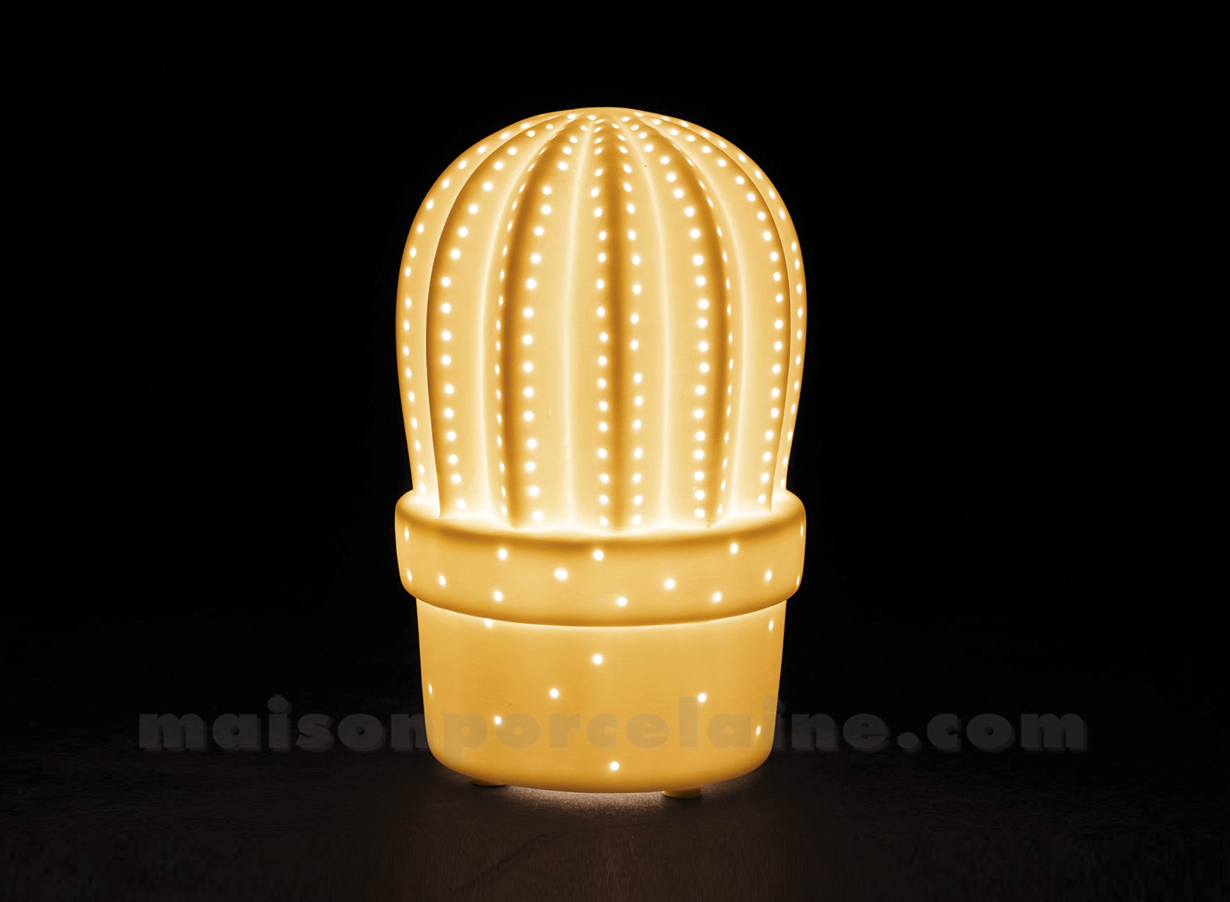 LAMPE BISCUIT PORCELAINE - LED CACTUS D8XH13CM-3 PILES LR44 - Maison de la  Porcelaine