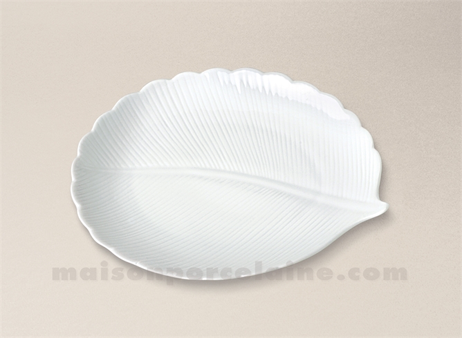 ASSETTE FEUILLE LIMOGES PORCELAINE BLANCHE MM 21X19