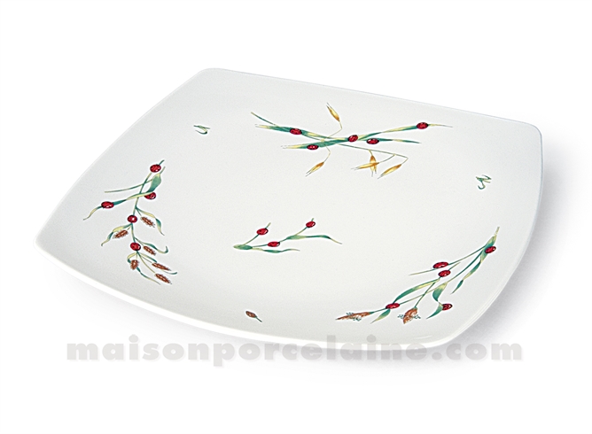 ASSIETTE CARREE PLATE SAHARA 25X25