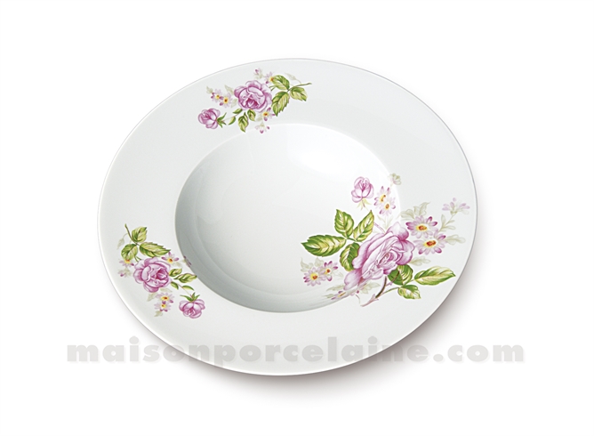 ASSIETTE CREUSE AILE LIMOGES ENVIE D23