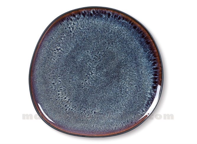 ASSIETTE GRES PLATE MEDARD DE NOBLAT GAO 27 CM