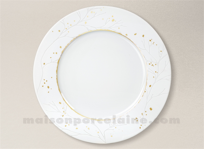 ASSIETTE PLATE BANQUISE D27