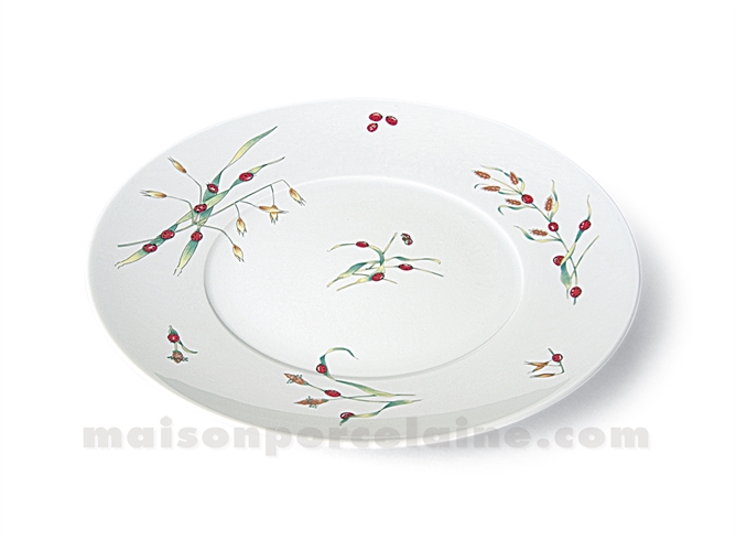 ASSIETTE PLATE LIMOGES ENVIE D28