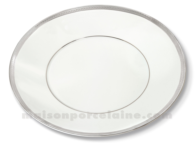 ASSIETTE PLATE LIMOGES ENVIE D28