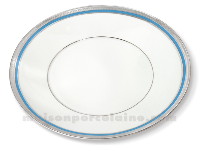 ASSIETTE PLATE LIMOGES ENVIE D28