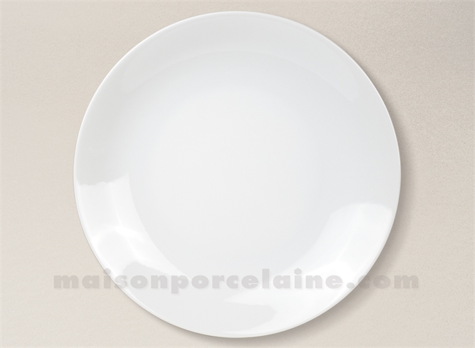 ASSIETTE PLATE PORCELAINE BLANCHE ARTOIS D27