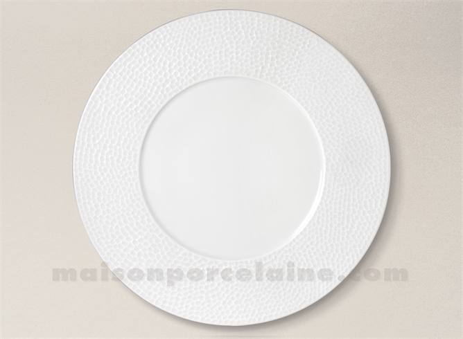 ASSIETTE PLATE PORCELAINE BLANCHE EMULSION D29