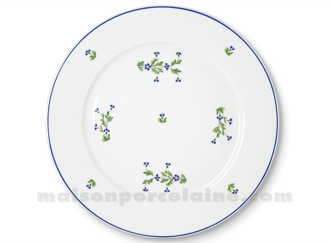 ASSIETTE PRESENTATION LIMOGES EMPIRE D31