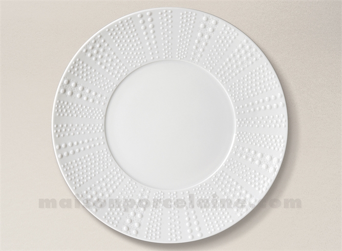 ASSIETTE PRESENTATION PATE EXTRA BLANCHE LIMOGES SANIA D31.5