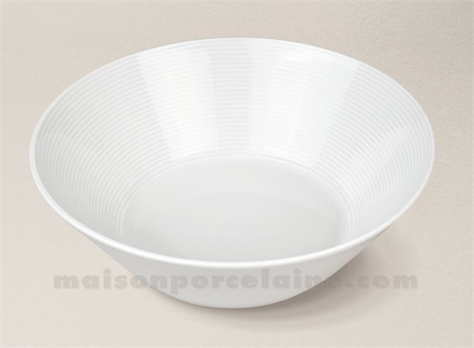 COUPE / ASSIETTE CREUSE GOURMET PORCELAINE BLANCHE ZEBRA D24