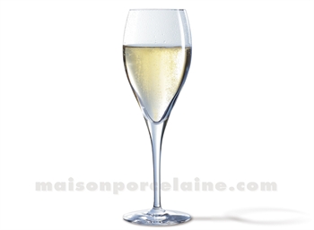 FLUTE A CHAMPAGNE DEGUSTATION OENOLOGUE EXPERT 26CL H21.5CM - (KWARX)