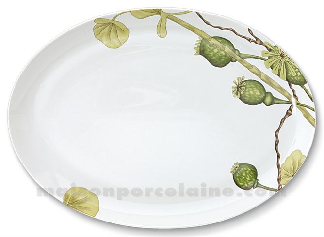 PLAT OVALE LIMOGES ENVIE 37X27