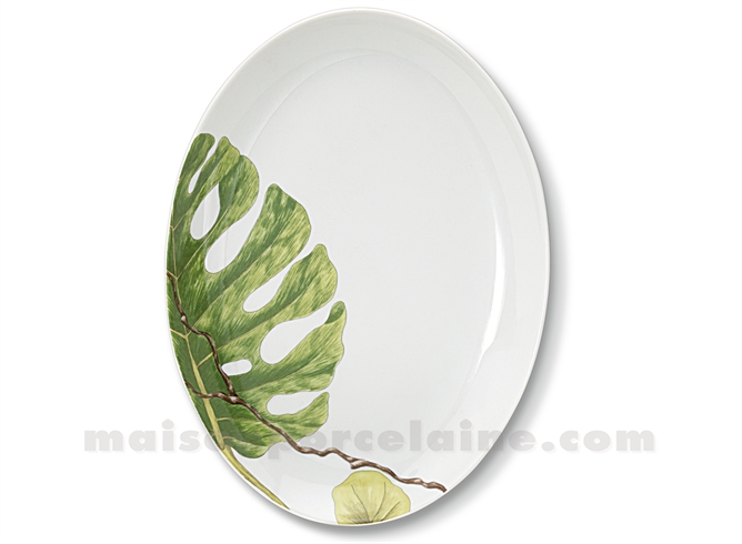 RAVIER LIMOGES ENVIE 24X17