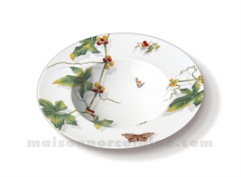 ASSIETTE CREUSE AILE LIMOGES ENVIE D23