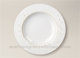 ASSIETTE CREUSE BANQUISE 20X4.2