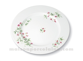 ASSIETTE PLATE LIMOGES EMPIRE D26.5