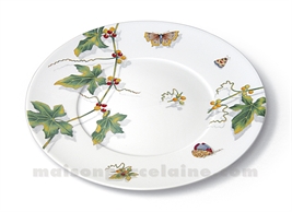 ASSIETTE PLATE LIMOGES ENVIE D28