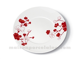 ASSIETTE PLATE LIMOGES ENVIE D28