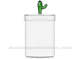 BOITE CACTUS VERT 1L