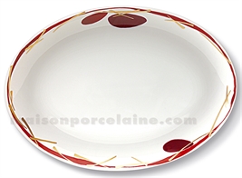 PLAT OVALE LIMOGES ENVIE 37X2727 27 27 27 27