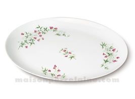 PLAT OVALE LIMOGES ENVIE 37X27