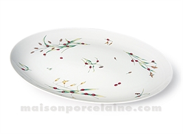 PLAT OVALE LIMOGES ENVIE 37X27