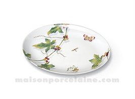 RAVIER LIMOGES ENVIE 24X17