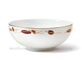 SALADIER LIMOGES ENVIE D23