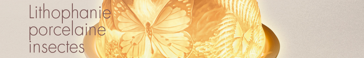 Lithophanies Insectes