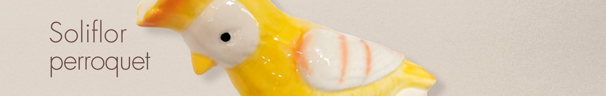 Soliflor Perroquet